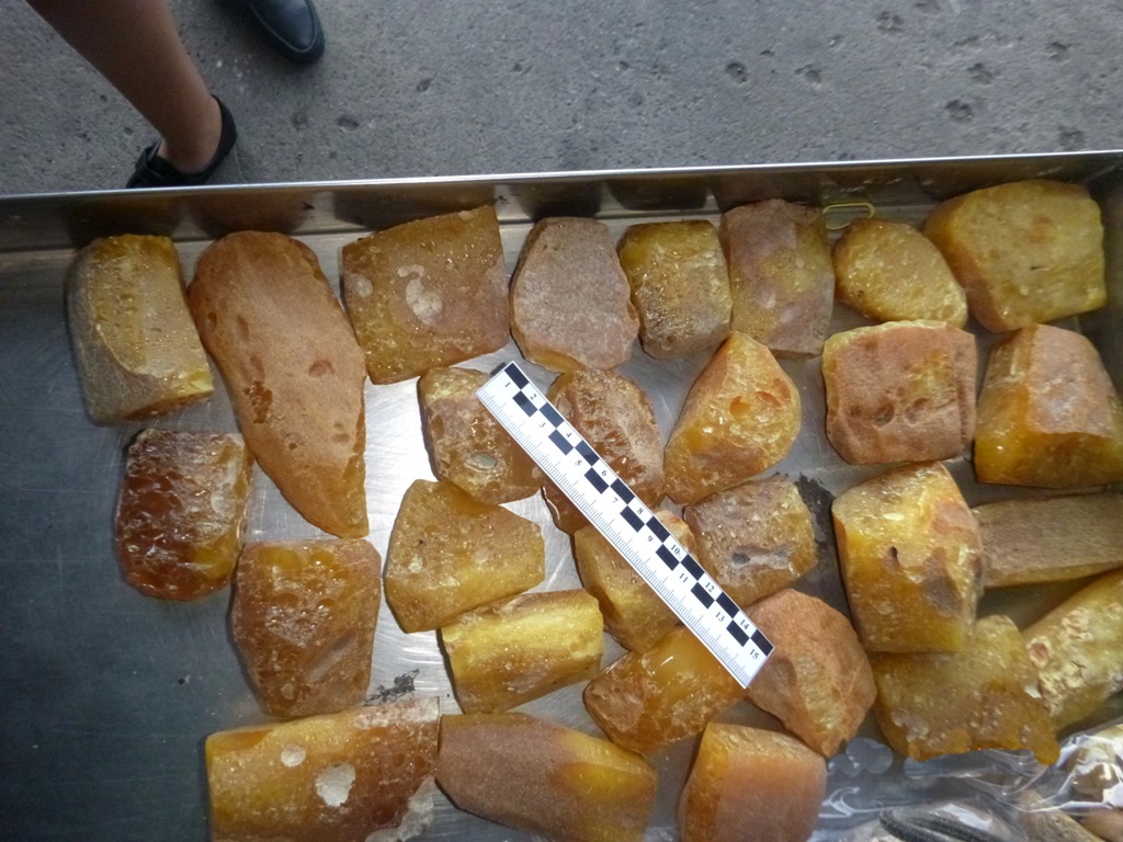 В Калининградской области задержаны добытчики янтаря В Калининградской области задержаны добытчики янтаря