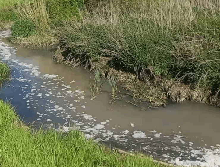 Прокуратура требует через суд прекратить незаконный сброс сточных вод в реку Граевка