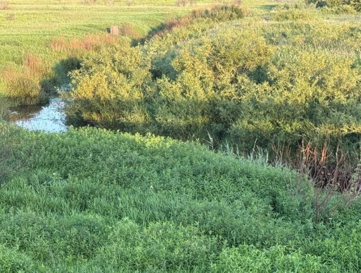 Береговая зона реки Тыльжа может вернуться в собственность государства