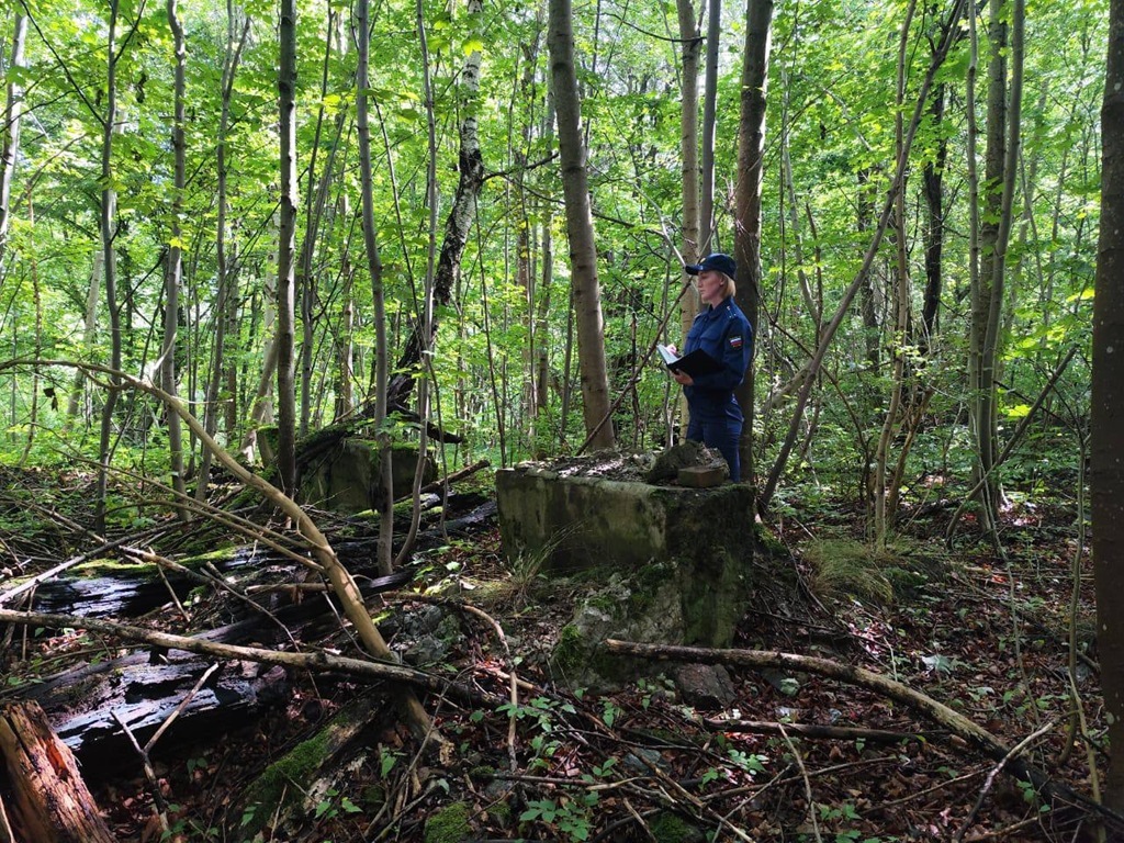 Археологи-нелегалы и лесорубы попали под следствие в Багратионовском районе