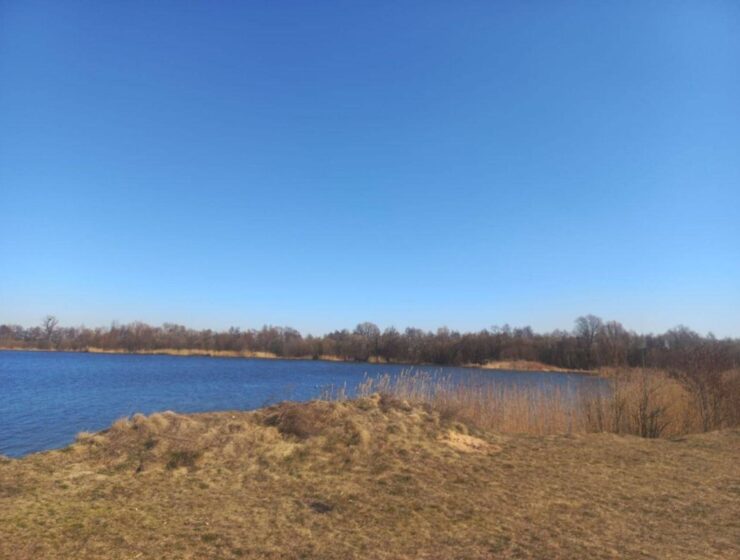 Береговую территорию вернули государству после проверки прокуратуры