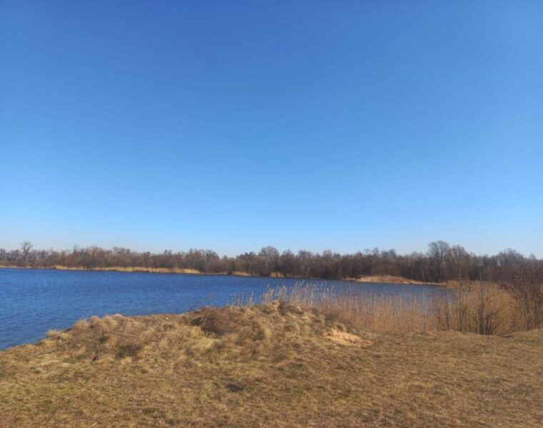 Береговую территорию вернули государству после проверки прокуратуры