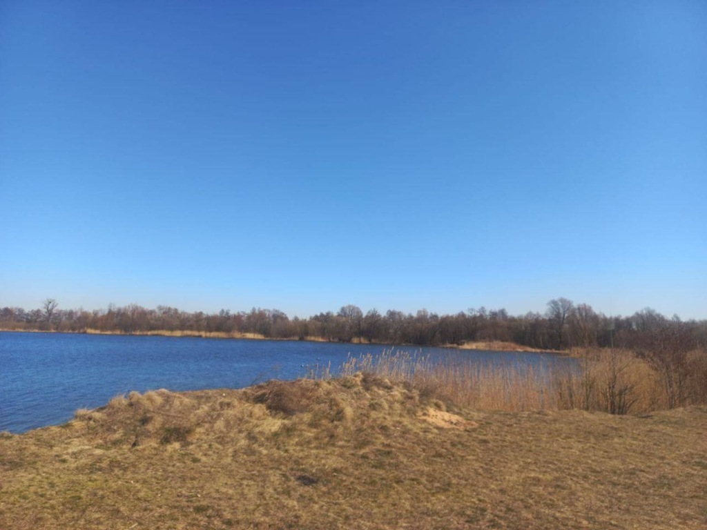 Береговую территорию вернули государству после проверки прокуратуры