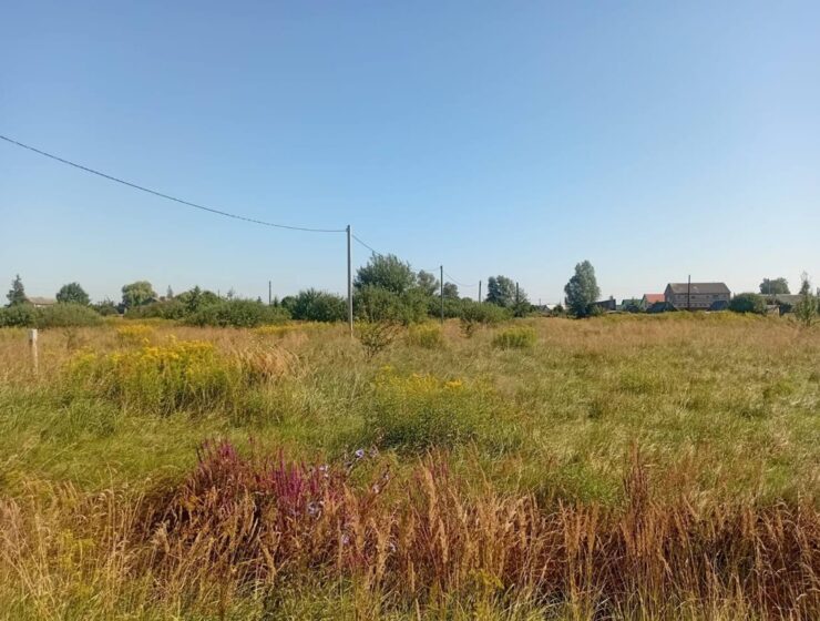 Многодетные семьи получат благоустроенные участки: суд обязал администрацию обеспечить инфраструктуру