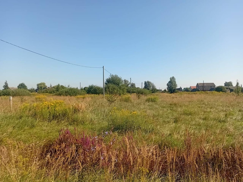 Многодетные семьи получат благоустроенные участки: суд обязал администрацию обеспечить инфраструктуру