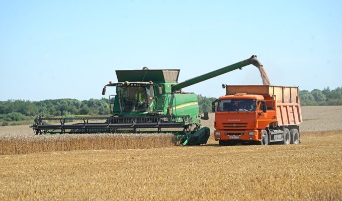 Зерновой прорыв: Калининградская область — в лидерах России по урожайности