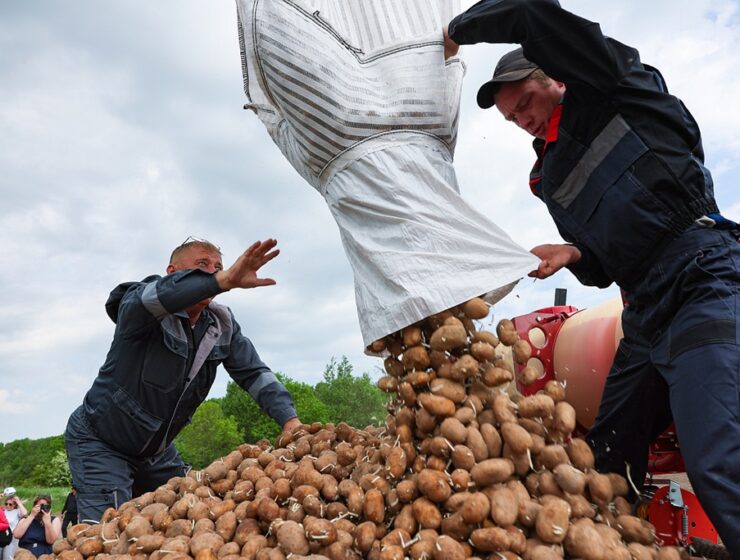 Резкий скачок цен на продукты: что подорожало, а что подешевело в июле Резкий скачок цен на продукты: что подорожало, а что подешевело в июле