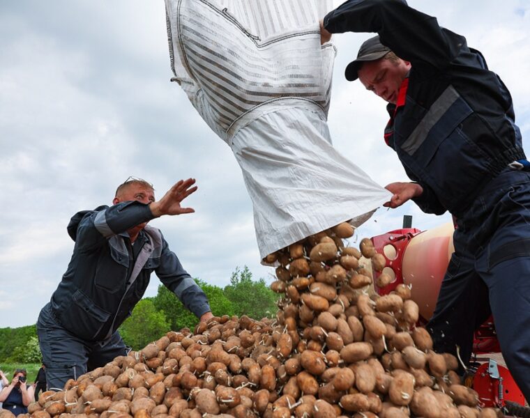 Резкий скачок цен на продукты: что подорожало, а что подешевело в июле