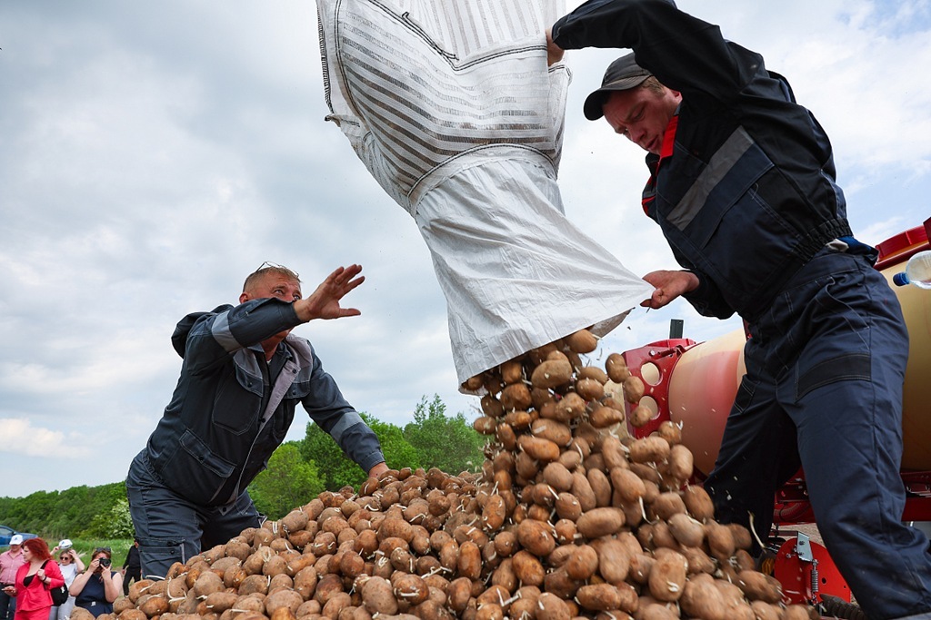 Резкий скачок цен на продукты: что подорожало, а что подешевело в июле