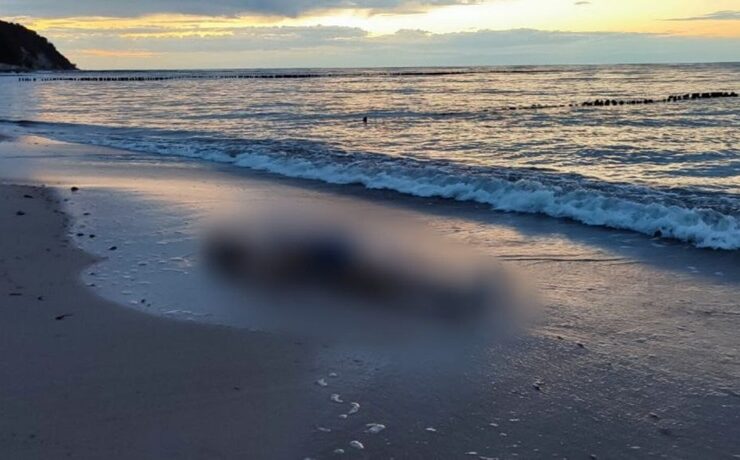 В Светлогорске расследуют гибель отдыхающего из Воронежа