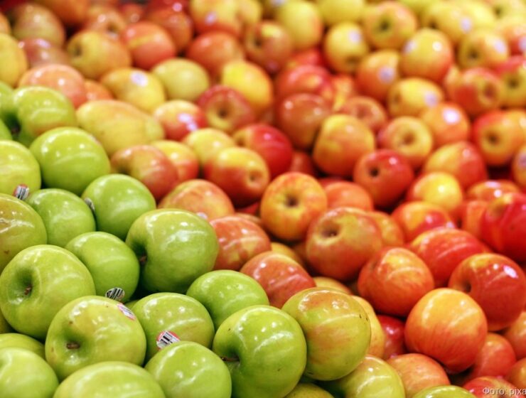 Импорт яблок в Калининградскую область вырос более чем в три раза Импорт яблок в Калининградскую область вырос более чем в три раза