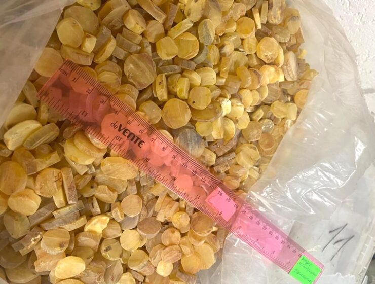 Балтийск расстался с янтарным кладом: 200 кг солнечного камня перешли государству