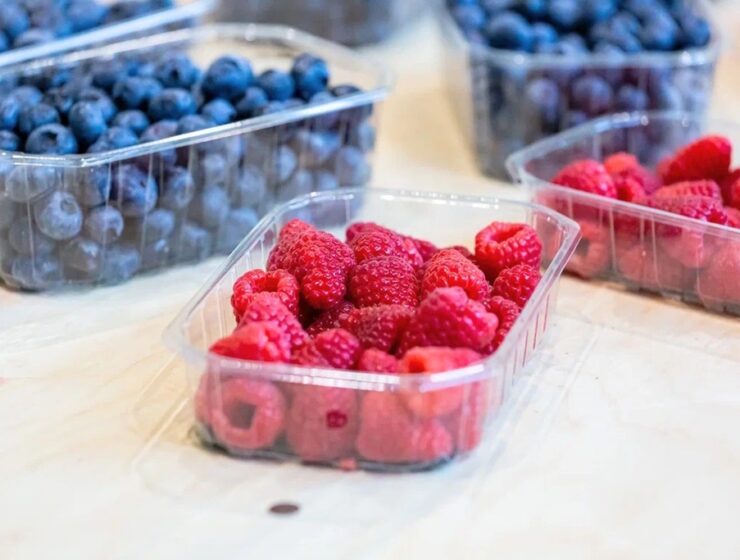 В Калининградскую область за неделю ввезено почти 5 тысяч тонн растительной продукции В Калининградскую область за неделю ввезено почти 5 тысяч тонн растительной продукции