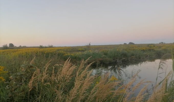 Рыбак погиб от удара током