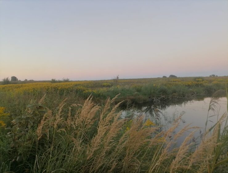 Рыбак погиб от удара током