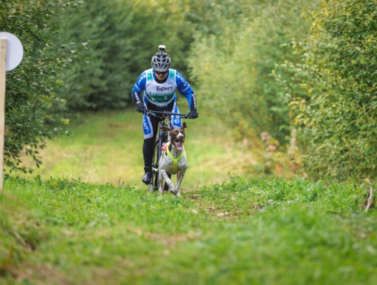 Калининградец стал чемпионом Северо-Запада в ездовом спорте