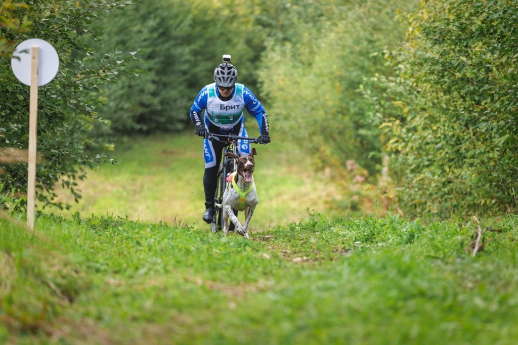 Калининградец стал чемпионом Северо-Запада в ездовом спорте