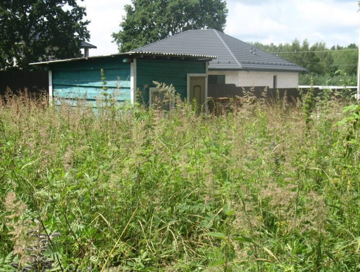 Прокуратура вернула в муниципальную собственность незаконно приватизированный участок Прокуратура вернула в муниципальную собственность незаконно приватизированный участок