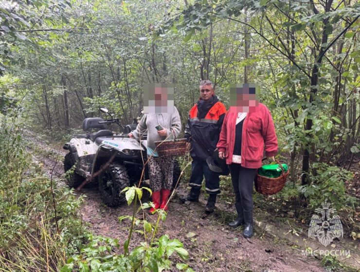 Спасатели два часа искали заблудившихся грибников