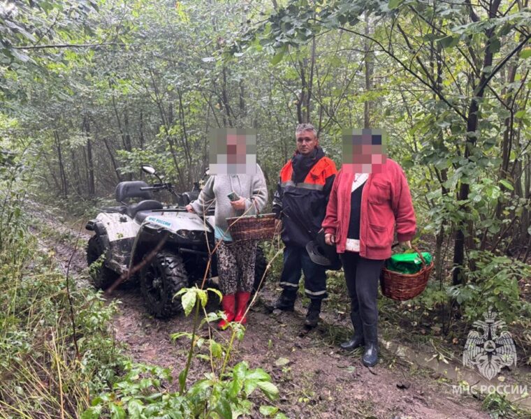 Спасатели два часа искали заблудившихся грибников