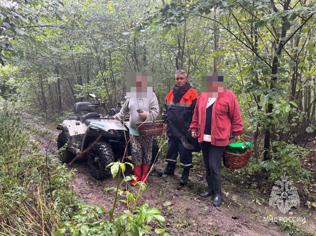 Спасатели два часа искали заблудившихся грибников