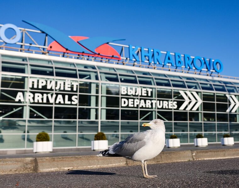 Двое нетрезвых пассажиров не смогли улететь из Калининграда в Казань