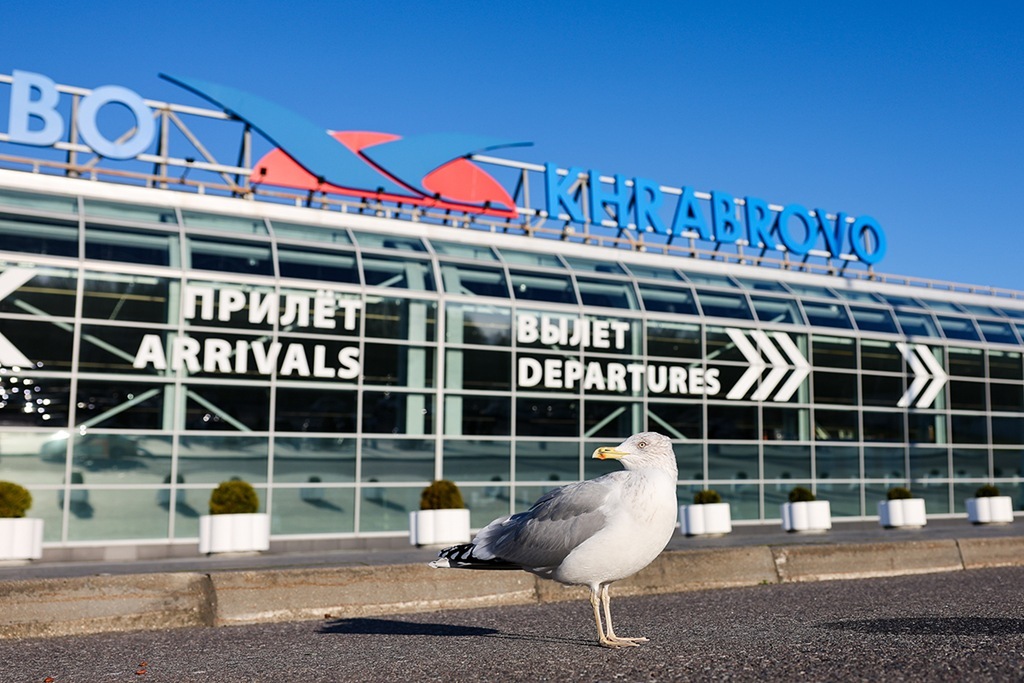 Двое нетрезвых пассажиров не смогли улететь из Калининграда в Казань