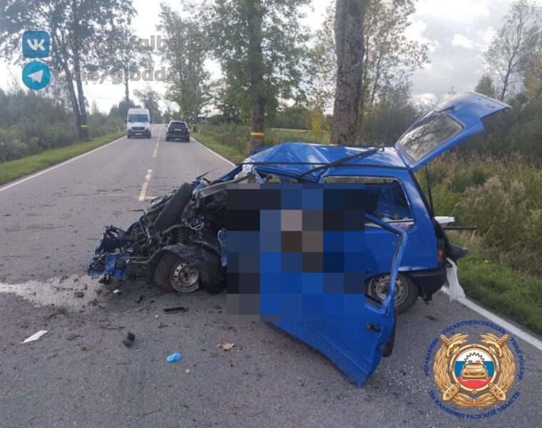 Трагическое ДТП в Неманском районе унесло жизнь пожилого водителя