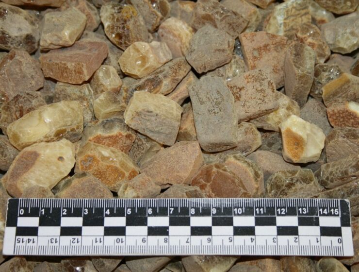 Шестерых калининградцев осудили на 7 лет за контрабанду солнечного камня