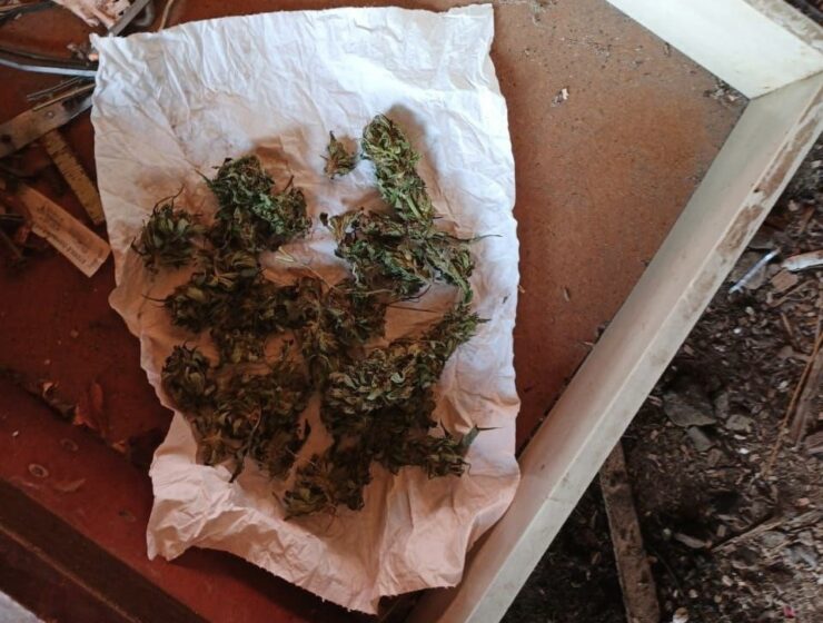 Крупная партия каннабиса изъята у ранее судимого калининградца Крупная партия каннабиса изъята у ранее судимого калининградца