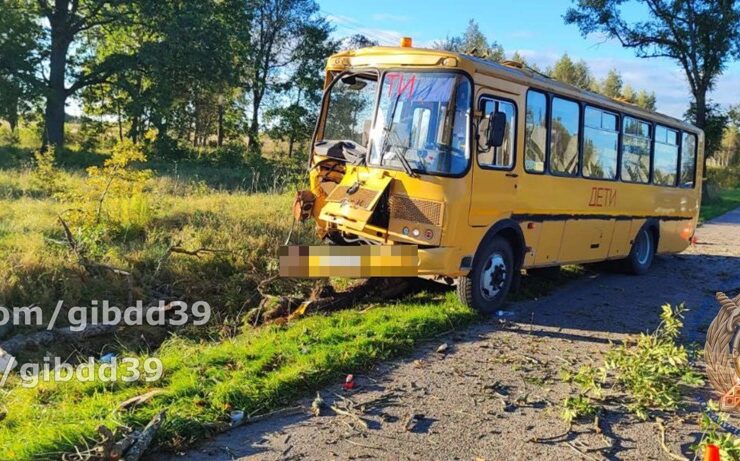 Близ Немана школьный автобус попал в ДТП, пострадали двое детей