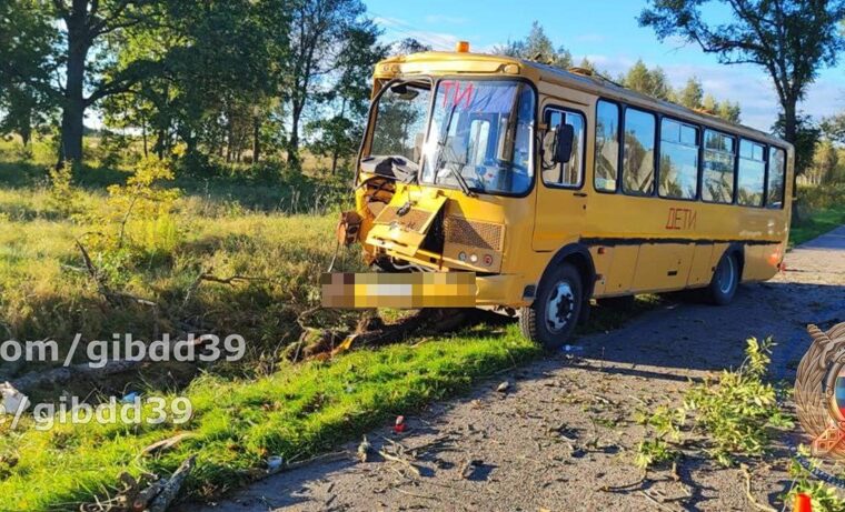 Близ Немана школьный автобус попал в ДТП, пострадали двое детей