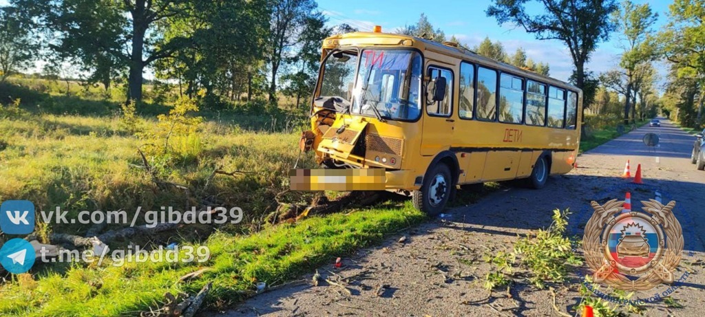 Под Калининградом школьный автобус попал в ДТП, пострадали двое детей