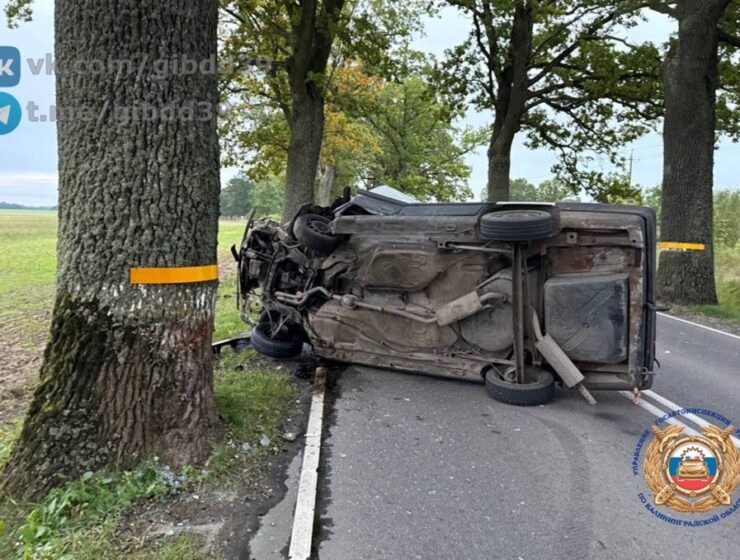 В Правдинском районе легковой автомобиль врезался в дерево: водитель госпитализирован В Правдинском районе легковой автомобиль врезался в дерево: водитель госпитализирован