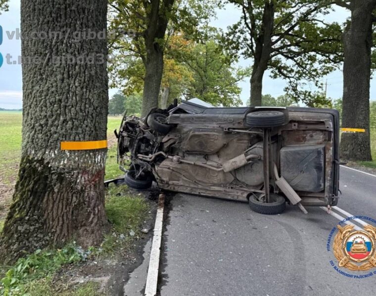 В Правдинском районе легковой автомобиль врезался в дерево: водитель госпитализирован