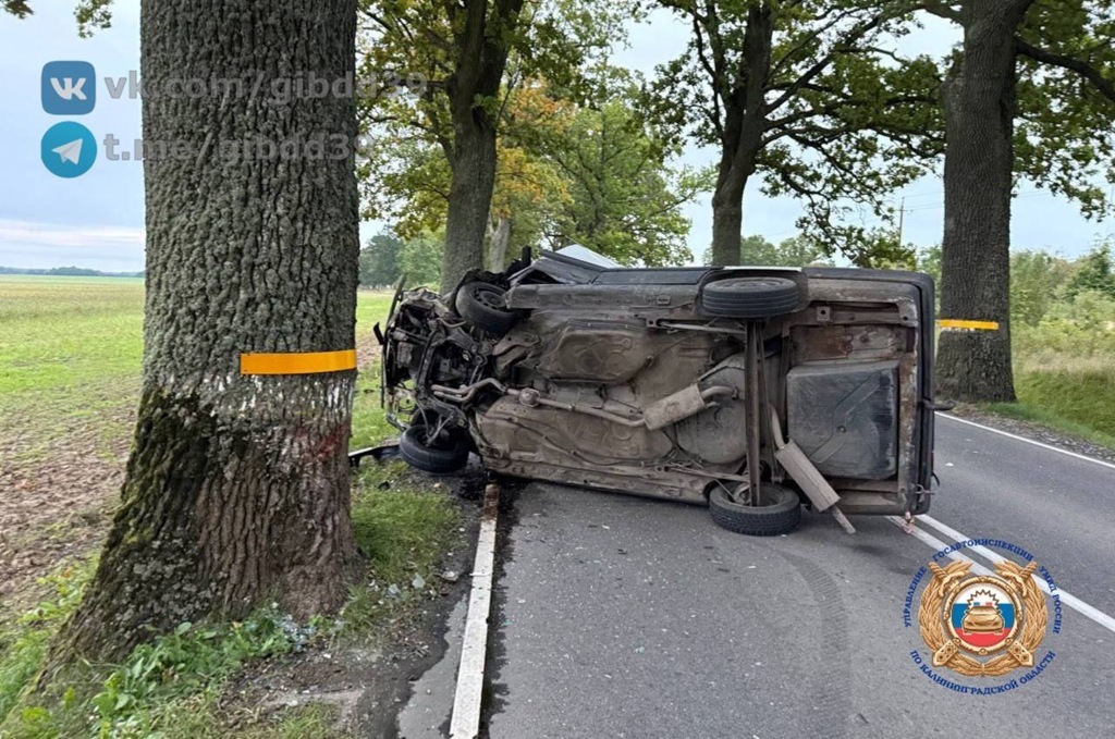 В Правдинском районе легковой автомобиль врезался в дерево: водитель госпитализирован