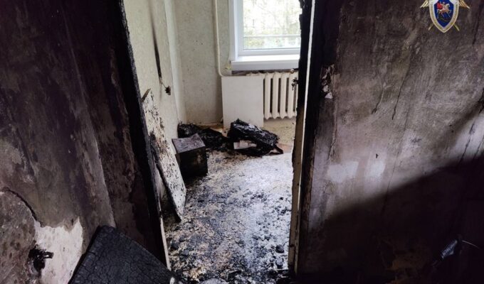 В Васильково выясняют обстоятельства гибели женщины при пожаре