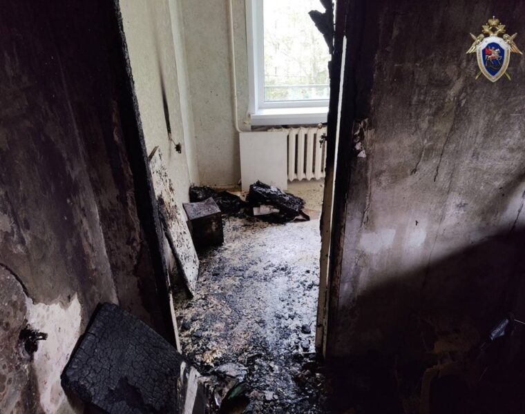 В Васильково выясняют обстоятельства гибели женщины при пожаре