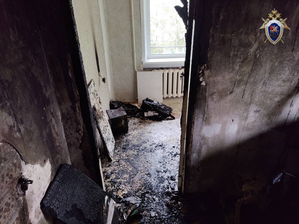 В Васильково выясняют обстоятельства гибели женщины при пожаре