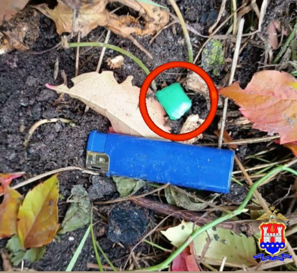 В Калининграде задержана наркозакладчица с "солью"