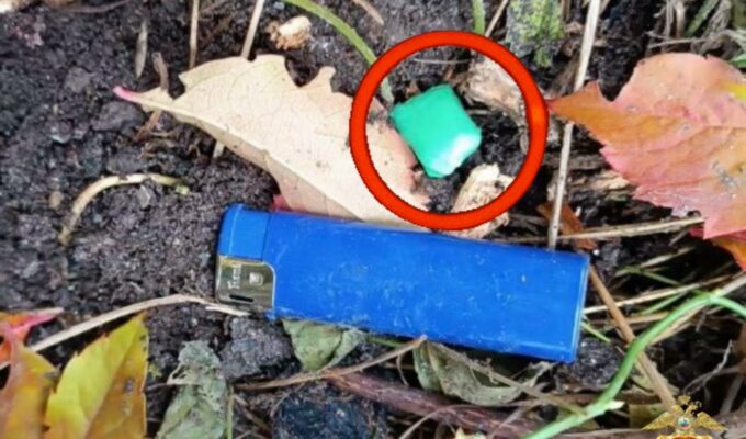 В Калининграде задержана наркозакладчица с "солью"