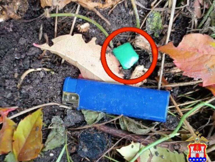 В Калининграде задержана наркозакладчица с "солью"