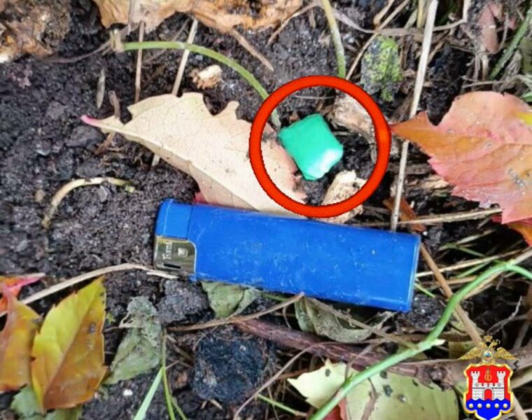 В Калининграде задержана наркозакладчица с "солью"