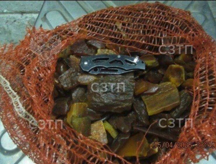 В Калининграде конфисковали 48,8 кг янтаря при попытке контрабанды