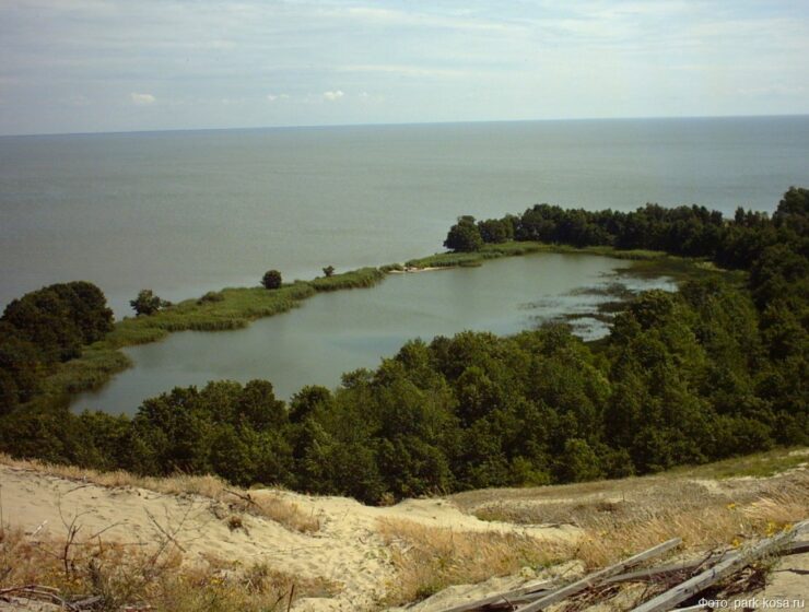 Эксперты разработают дорожную карту для спасения Куршской косы