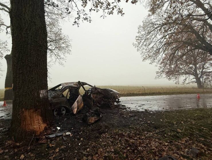 От автомобиля ничего не осталось: выясняются обстоятельства смертельного ДТП под Правдинском От автомобиля ничего не осталось: выясняются обстоятельства смертельного ДТП под Правдинском