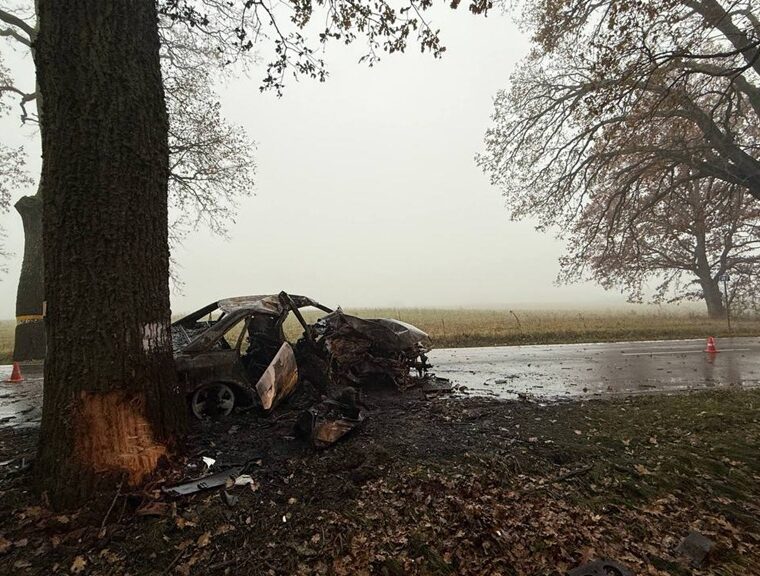 От автомобиля ничего не осталось: выясняются обстоятельства смертельного ДТП под Правдинском