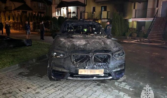 Пожарные вырвали собаку из объятий пламени