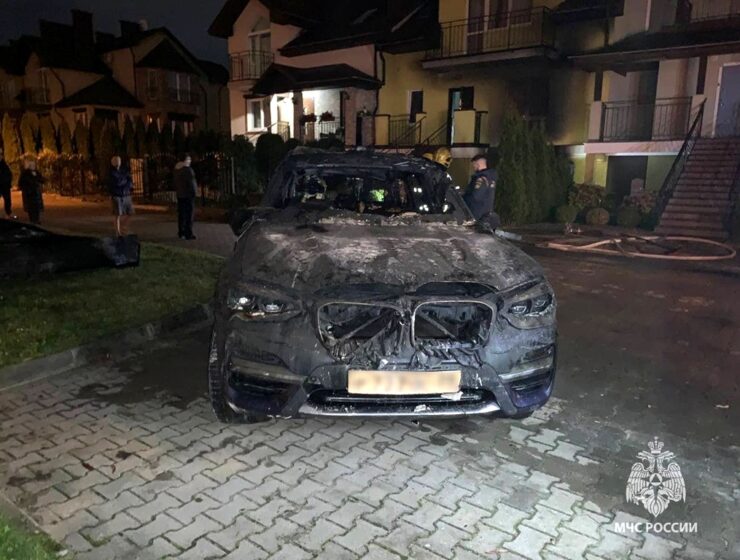 Пожарные вырвали собаку из объятий пламени Пожарные вырвали собаку из объятий пламени