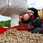 Цены в Калининграде: продукты подорожали на 7,4% с начала года